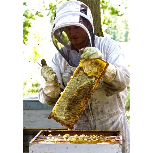 Bee au Top - Le Rucher de Fontabeilles