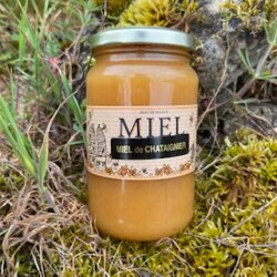 Miel de châtaigner