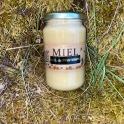 Miel de printemps