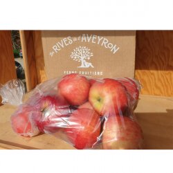Pomme Gala