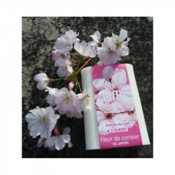 Savons au lait d'ânesse fleur de cerisier