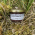 Spécialité d’Anchoïade aux olives noires de Nyons AOP