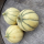 Melons du Quercy IGP